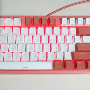 콕스 엔데버 리빙코랄 에디션 50g RGB PBT 완전방수 무접점 텐키리스 키보드