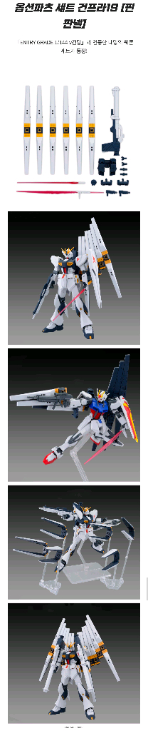 엔트리그레이드 뉴건담 & 핀판넬--3