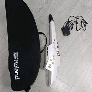 롤랜드 에어로폰 AE-10