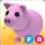 입양하세요 날타 돼지 판매 이미지