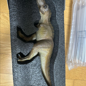 본심남개 5주년 한정판 티라노사우루스