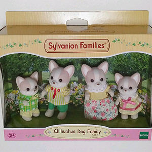 실바니안 치와와가족