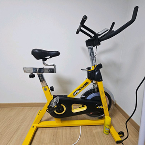 이고진 실내 자전거