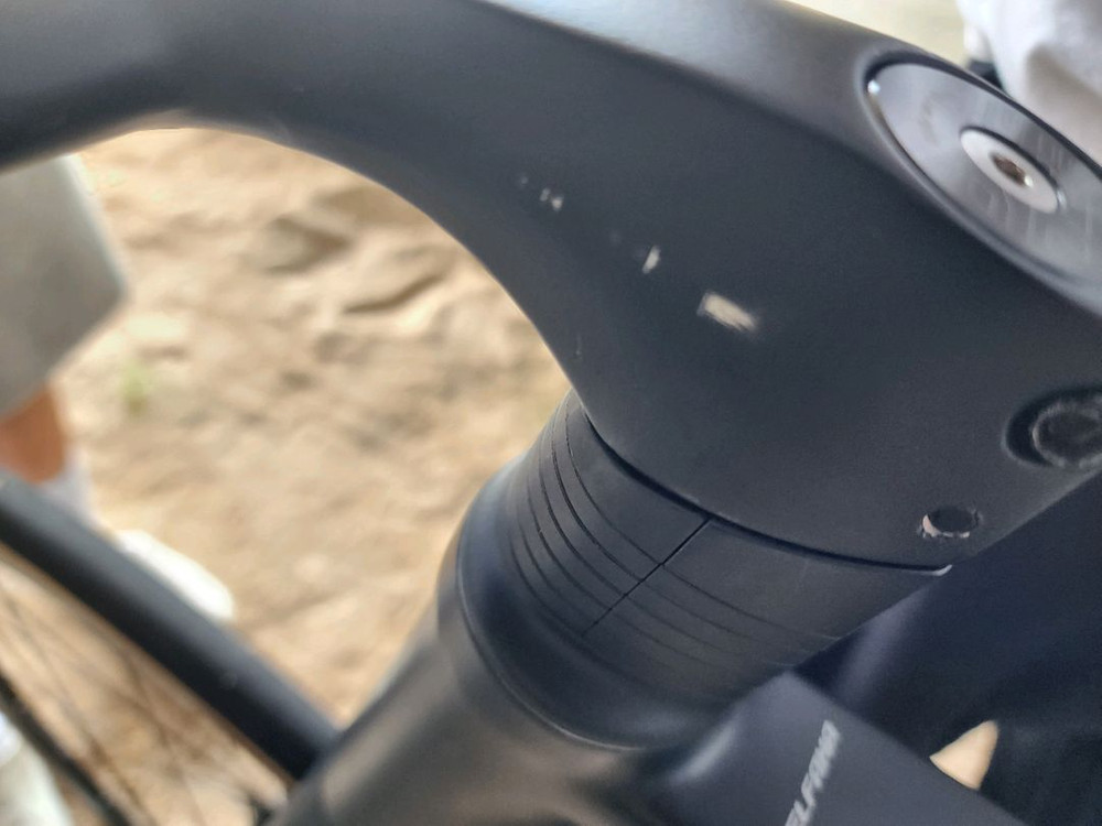 엘파마 로드너--2