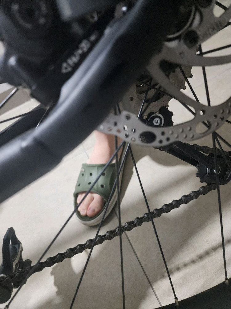 엘파마 로드너--4