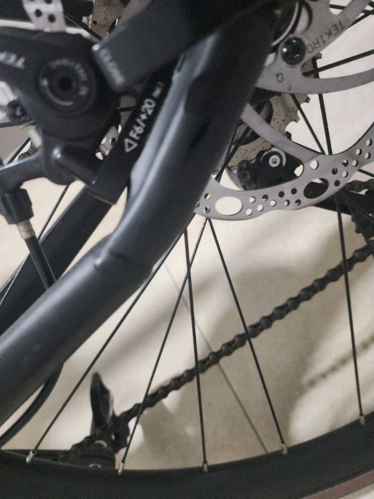 엘파마 로드너--6