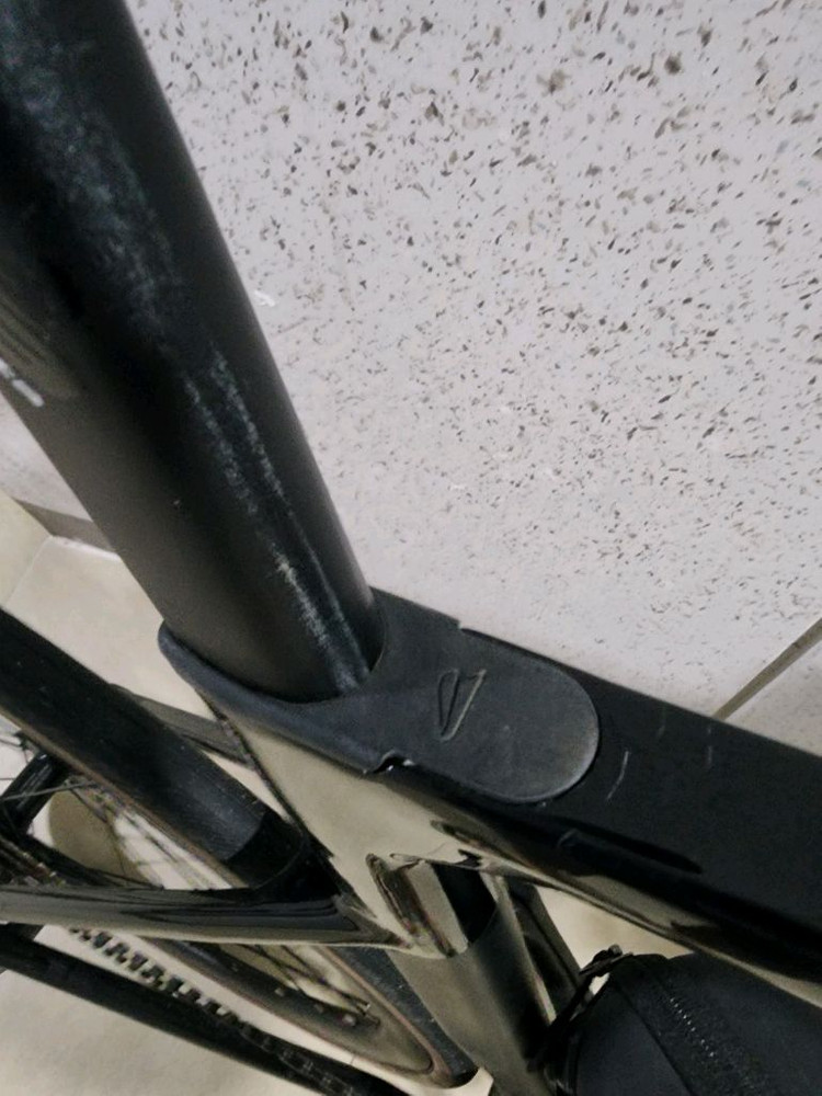 엘파마 로드너--7