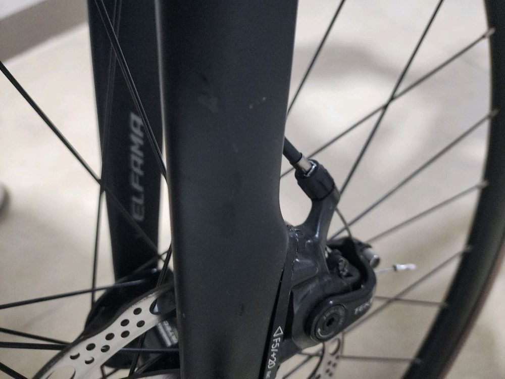 엘파마 로드너--8