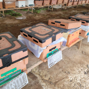 꿀벌사육용 분리형 꿀통 세트