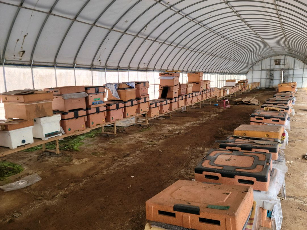 꿀벌사육용 분리형 꿀통 세트--1