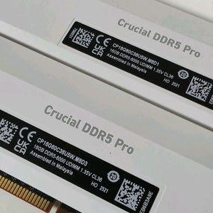 화이트 크루셜 프로 램 Crucial Pro DDR5 32GB (16GB*2)