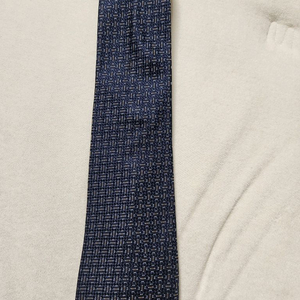 에르메질도 제냐 넥타이