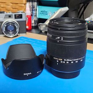 시그마 DC 18-250mm f3.5-6.3 MACRO HSM (니콘 F마운트)