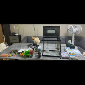 어항풀세트 이미지