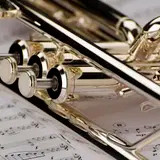 트럼펫 삽니다. 중고트럼펫 / 바하 야마하 기타 등등