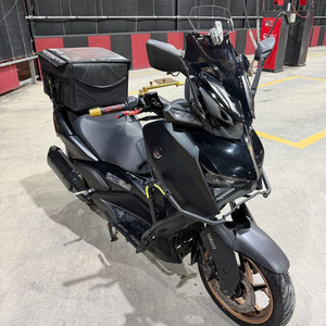 xmax 300 24년식 페리 이미지