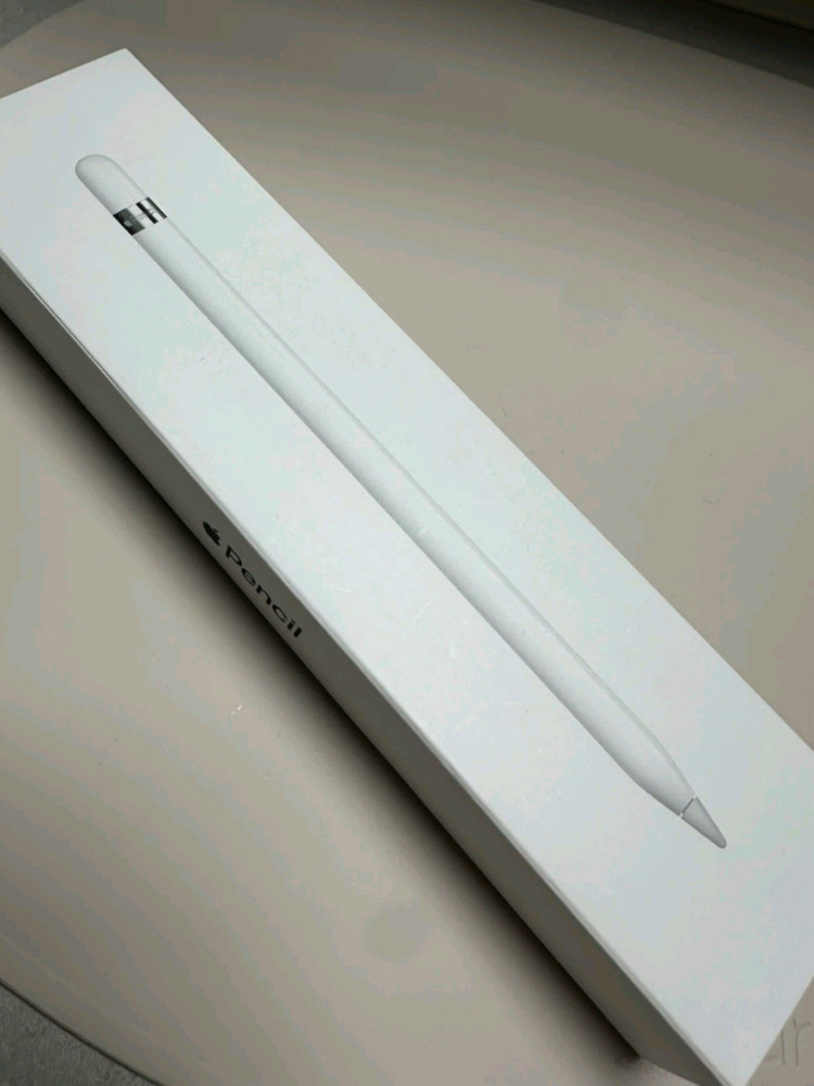 아이패드 9세대 + 애플펜슬 1세대--5