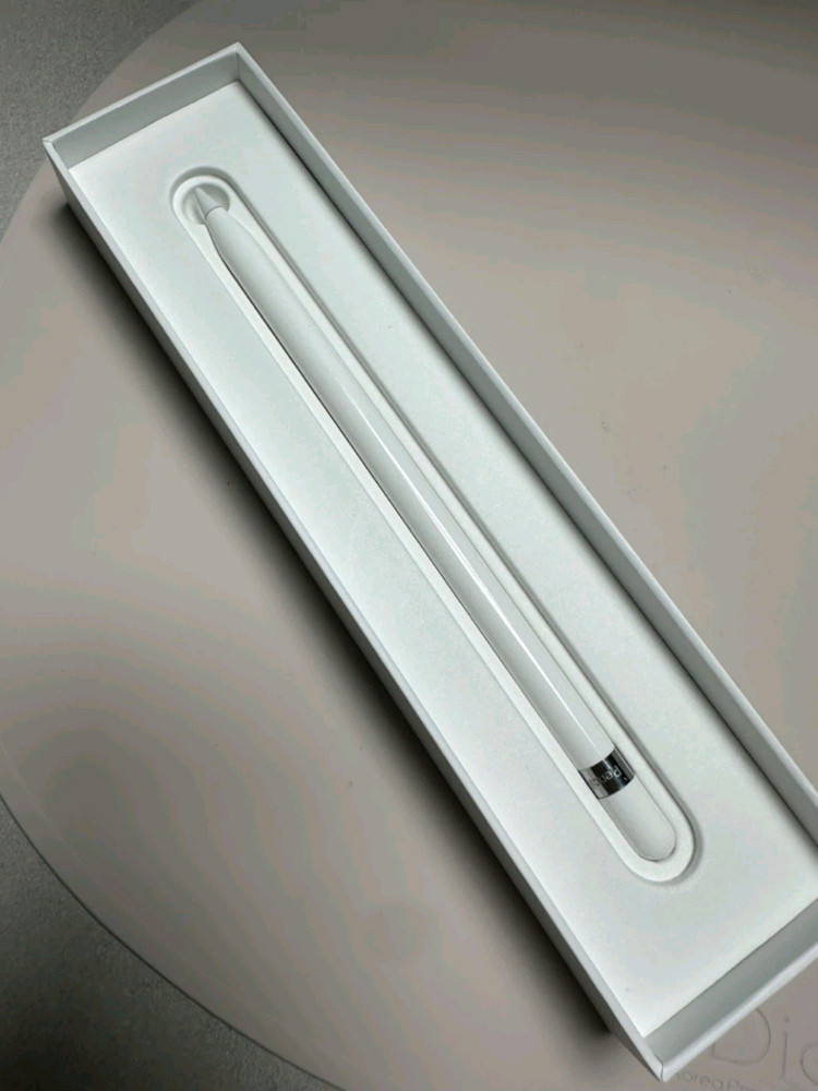 아이패드 9세대 + 애플펜슬 1세대--8