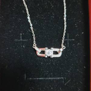 디올 쁘띠 모이사 나이트 1캐럿 925실버 목걸이 이미지