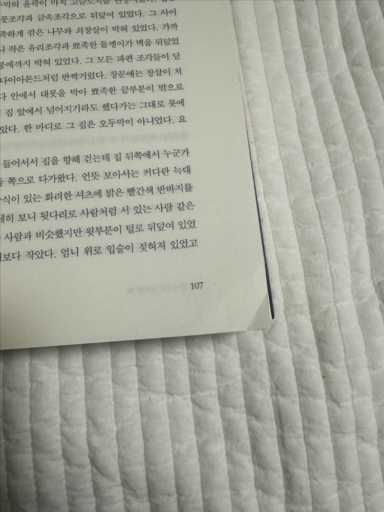 잃어버린 것들의 책--3