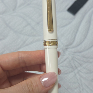 플래티넘 센츄리 만년필 ef