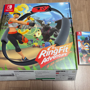 닌텐도 스위치 링피트 어드벤처