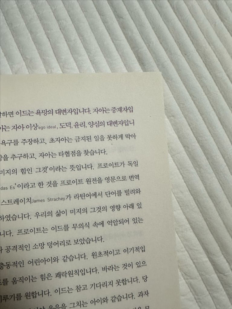 프로이트의 의자--2