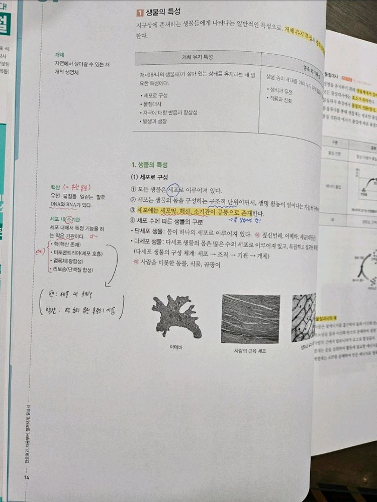 NEW2025 철두철미 개념의완성 이미지