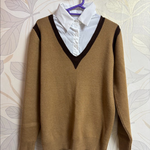 브이넥 니트 브라운