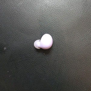 갤럭시 버즈2 프로 왼쪽 팝니다