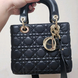 디올 레이디백 스몰