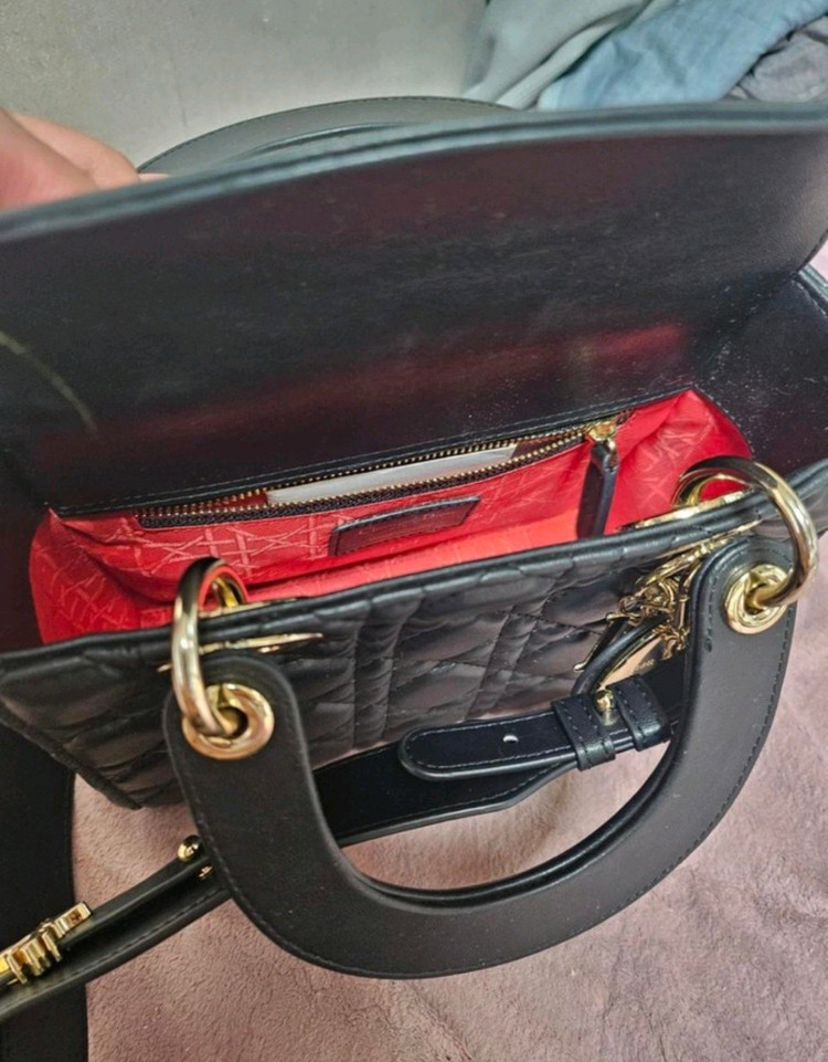 디올 레이디백 스몰--1