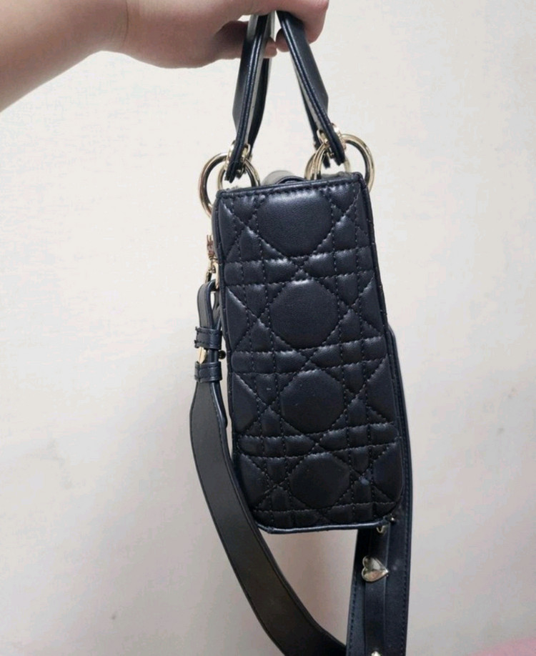 디올 레이디백 스몰--2