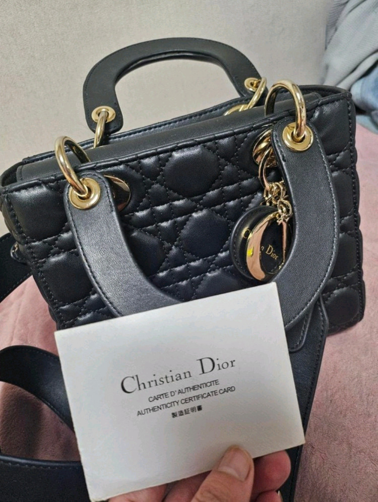 디올 레이디백 스몰--3