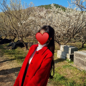 버버리 Burberry Blue label 38 레드 반코트 하프코트