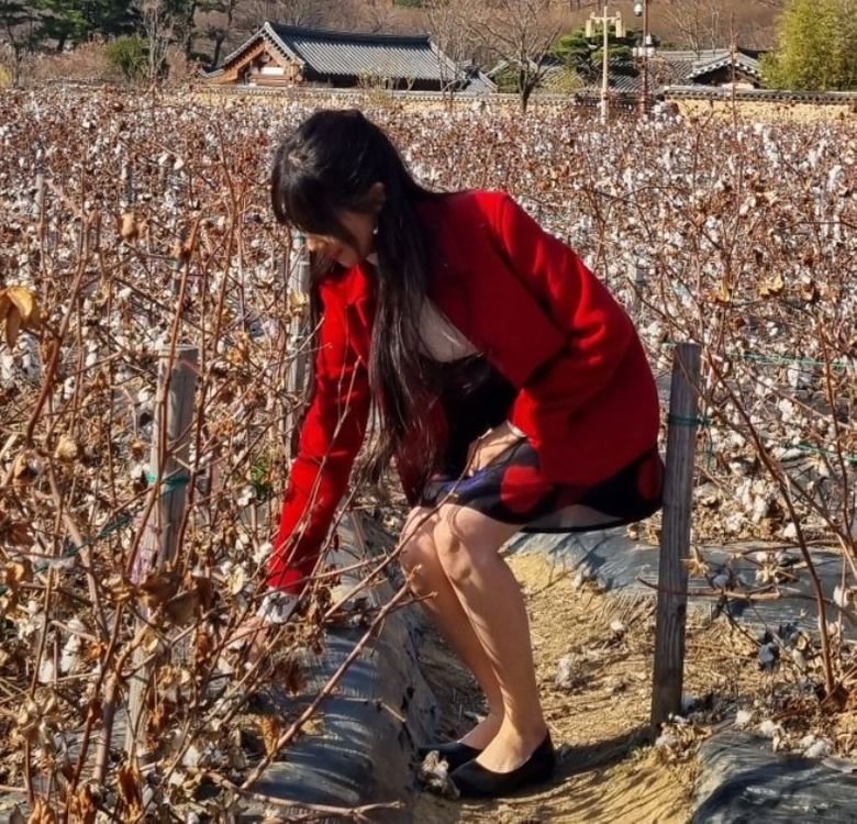 버버리 Burberry Blue label 38 레드 반코트 하프코트--6