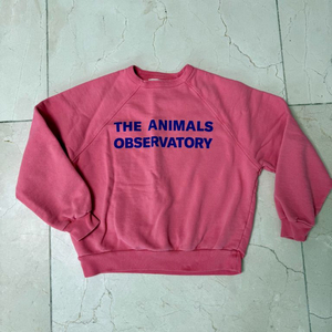 타오 TAO 보보쇼즈 8-9 10y 여러가지