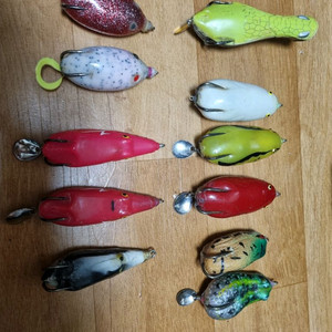 가물치 전용프로그 (시즌준비하세요)