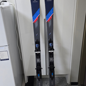 다이나스타 중상급스키 SPEED 563