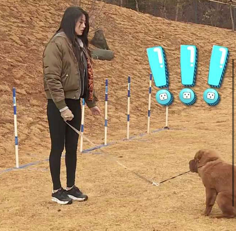 240 프리미아타 -368 이미지