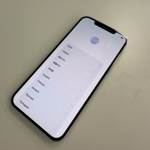 아이폰 12 프로 맥스 256gb 판매