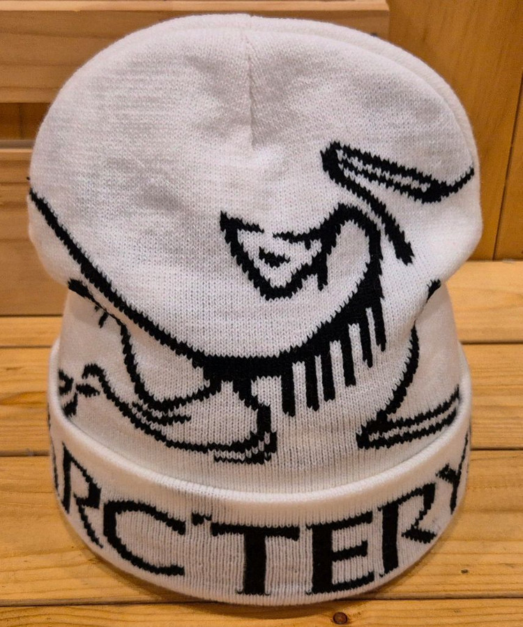 아크테릭스 로고 니트 비니--3