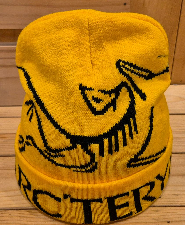 아크테릭스 로고 니트 비니--4