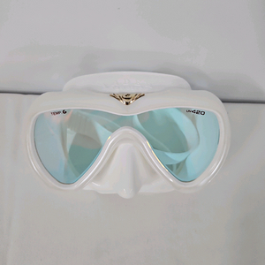 GULL 걸 베이더 파네트 420UV AR 마스크