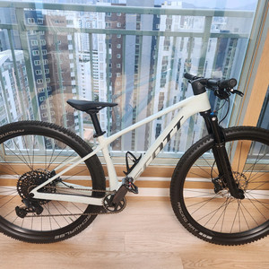 스캇 스케일 920