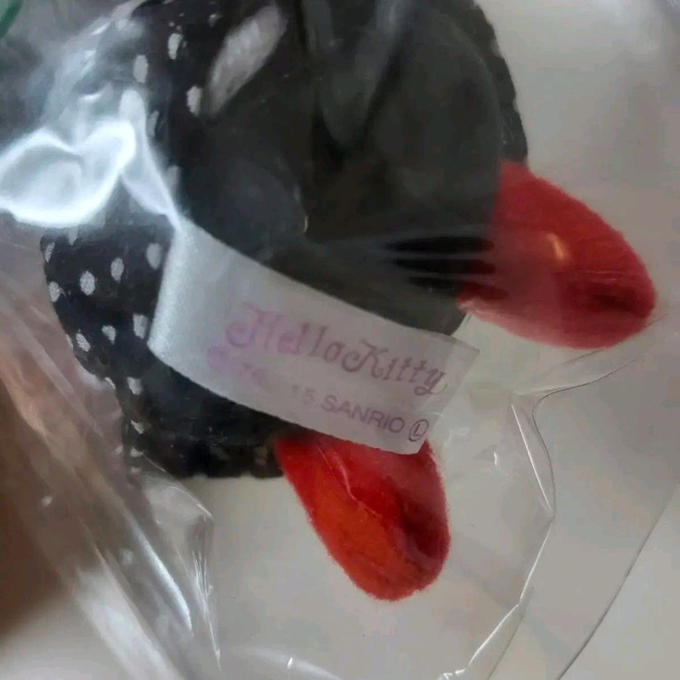 헬로키티 고전 앨리스 키티 인형,50주년 파우치,A4 파일 세트 이미지