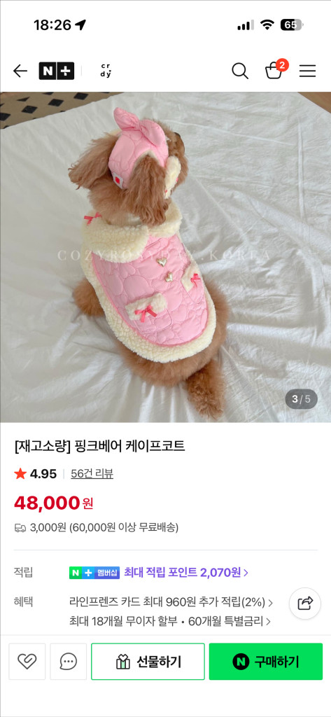 강아지 코지로지데이 케이프코트+귀마개--1