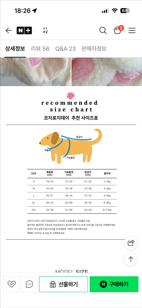 강아지 코지로지데이 케이프코트+귀마개--2