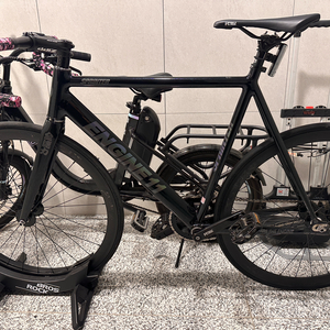 Engine11 스프린터 픽시 그린웨이브