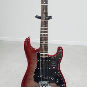 펜더USA 울트라일렉기타 이미지